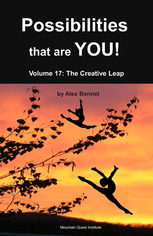 Possibilities that are YOU!: Volume 17: The Creative Leap