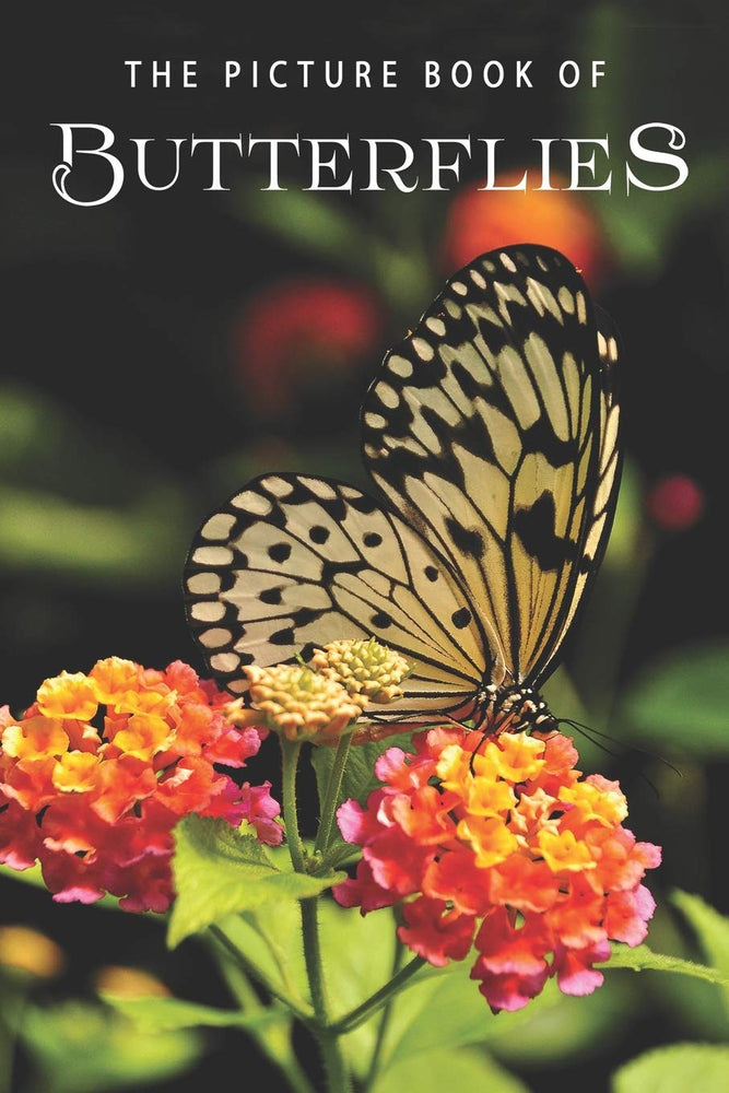 The Picture Book of Butterflies: A Gift Book for Alzheimer's Patients and Seniors with Dementia
