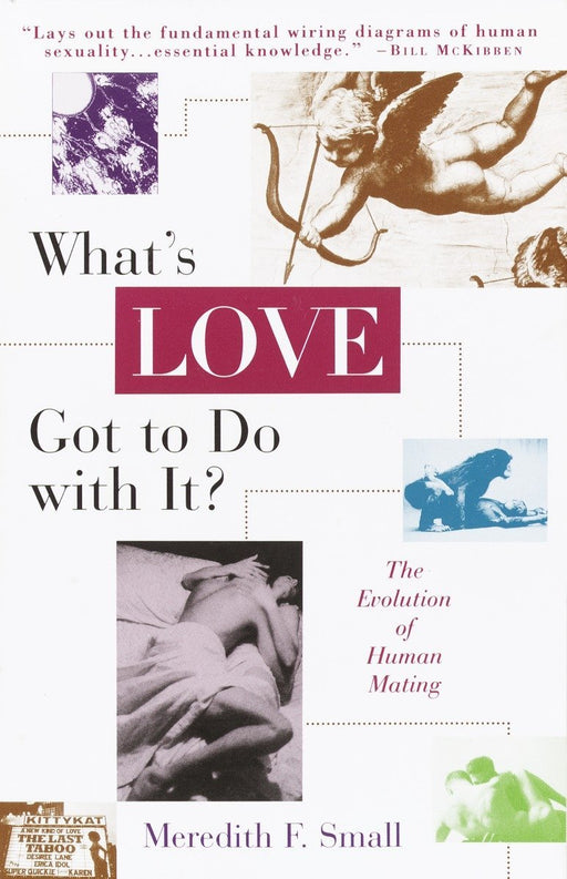 What's Love Got to Do with It?: The Evolution of Human Mating