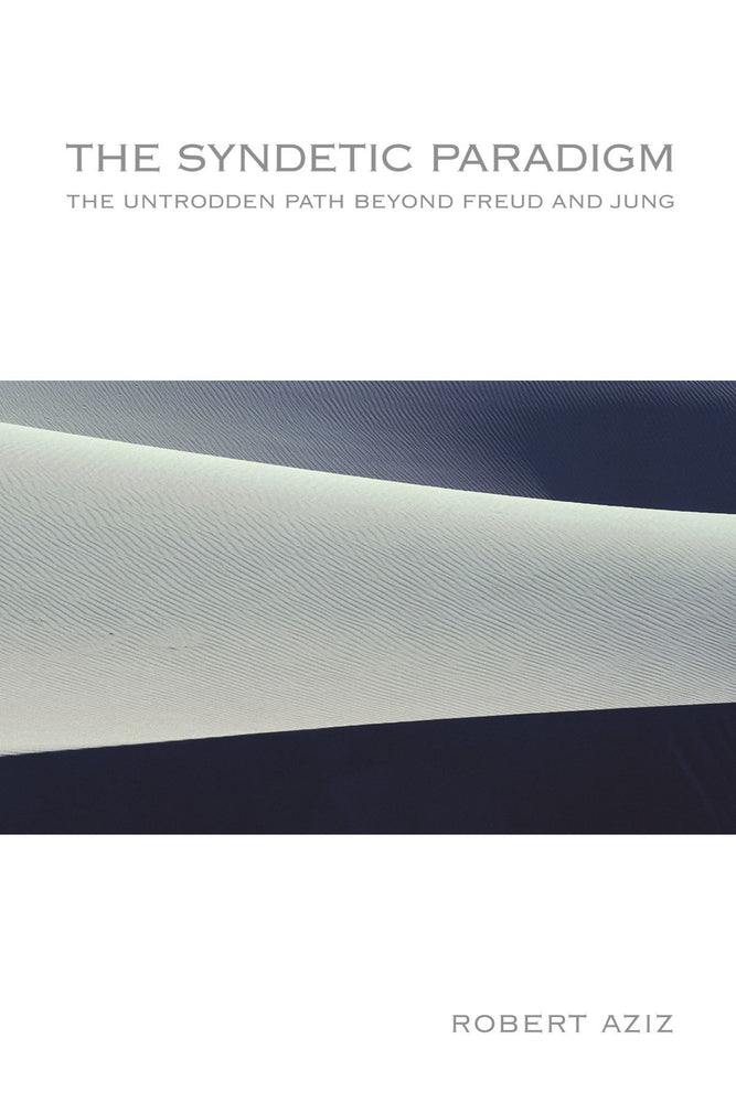 The Syndetic Paradigm: The Untrodden Path Beyond Freud and Jung (Suny Series in Transpersonal and Humanistic Psychology)
