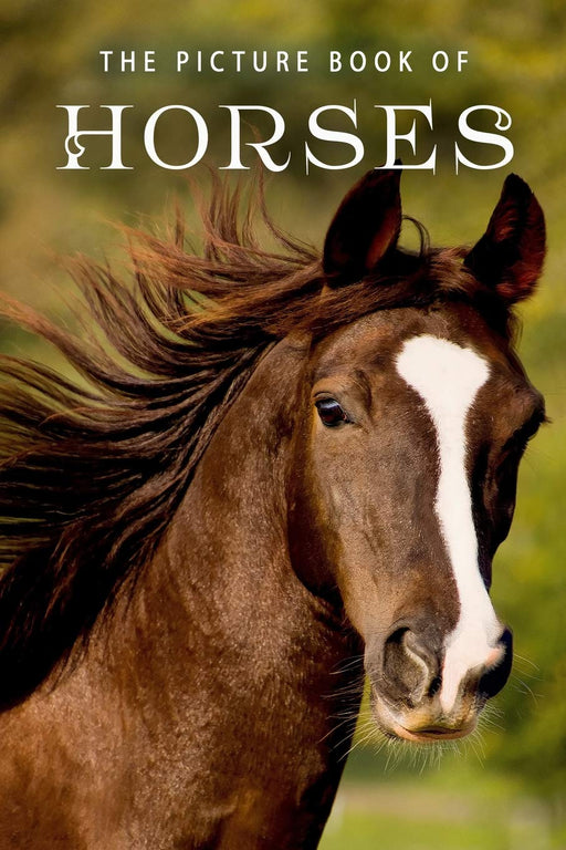 The Picture Book of Horses: A Gift Book for Alzheimer's Patients and Seniors with Dementia (Picture Books)