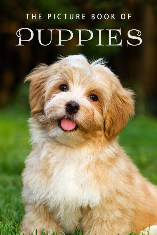 The Picture Book of Puppies: A Gift Book for Alzheimer's Patients and Seniors with Dementia (Picture Books)