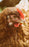 Notebook: portrait chicken poultry hen farm head bird