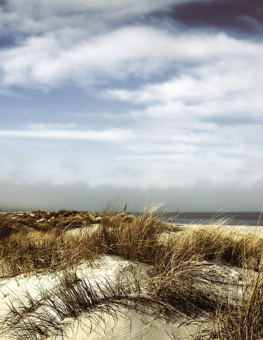 Notebook: dunes landscape dune grass sand beach sea ocean hills