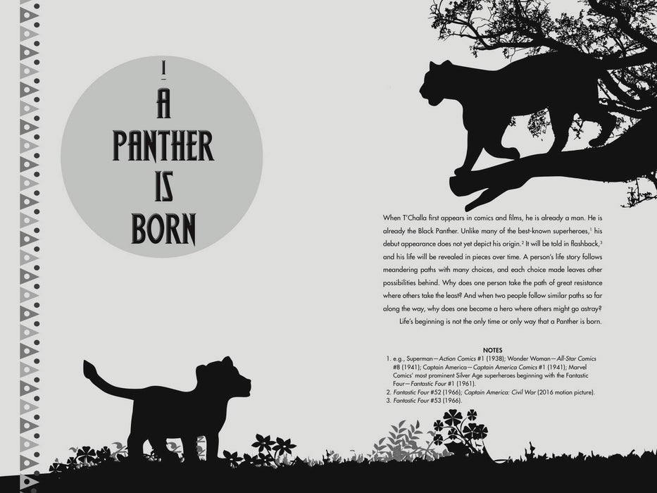 Black Panther Psychology: Hidden Kingdoms (Popular Culture Psychology)