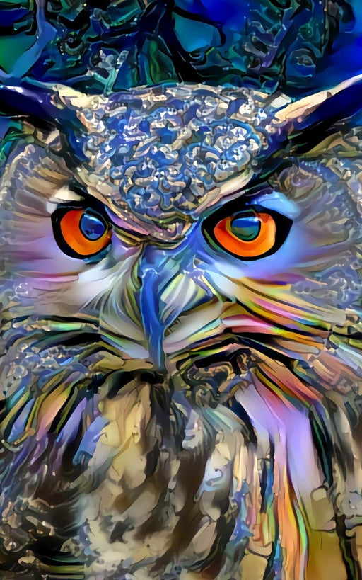 Notebook: art owl bird owls wildlife predator hunter bird of prey