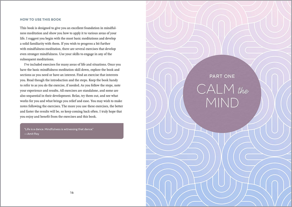 Mindfulness Meditations for Anxiety: 100 Simple Practices to Find Peace Right Now
