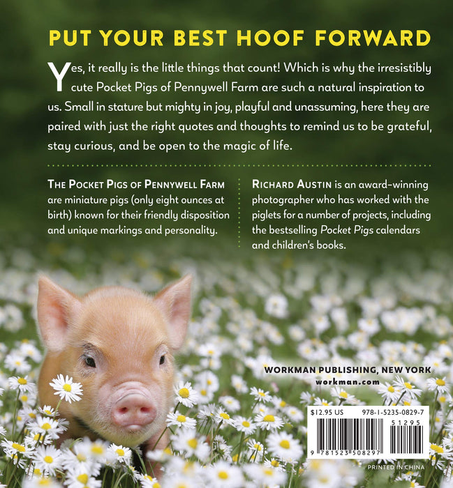 It's the Little Things: The Pocket Pigs' Guide to Living Your Best Life
