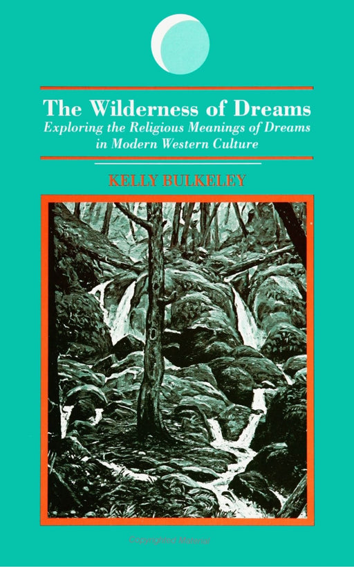 The Wilderness of Dreams: Exploring the Religious Meanings of Dreams in Modern Western Culture (S U N Y Series in Dream Studies)