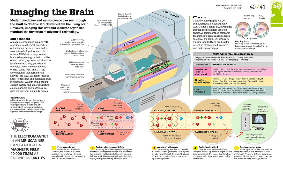 How the Brain Works: The Facts Visually Explained (How Things Work)